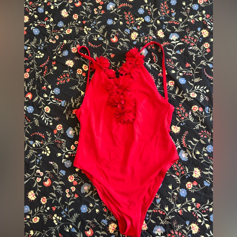 Zara Red Floral-Appliqué One-Piece Swimsuit